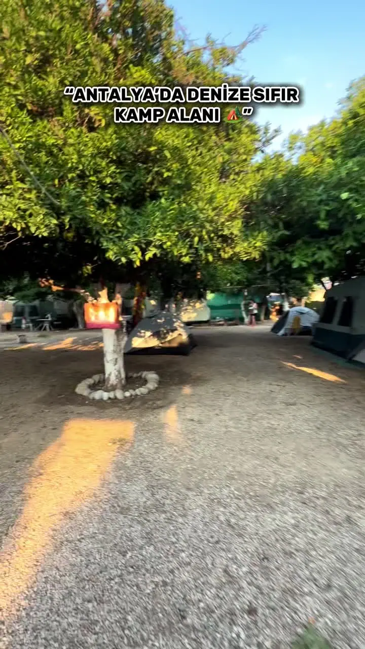 Gündüz Kampı